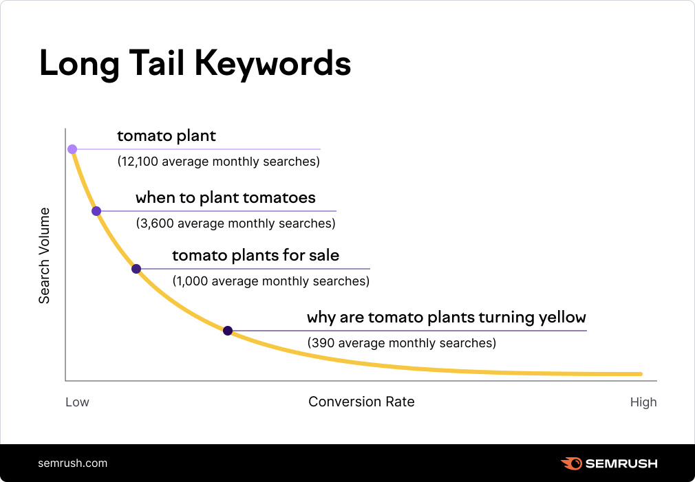 SEO Long Tail Keywords Graphic